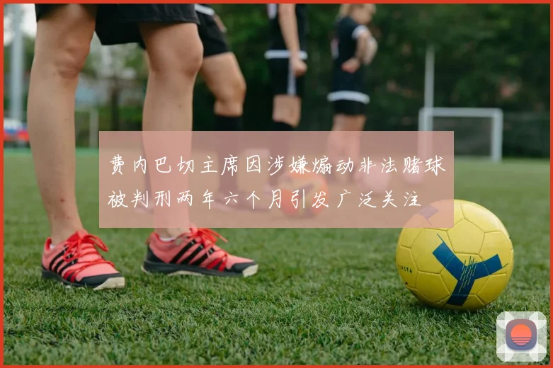 费内巴切主席因涉嫌煽动非法赌球被判刑两年六个月引发广泛关注